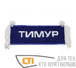 Вымпел "ТИМУР-ПУСТОЙ"